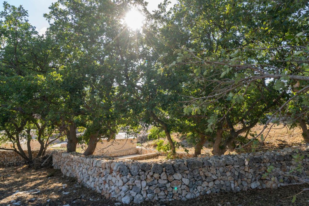 Vila Donnapaola Modern Farm Altamura Exteriér fotografie