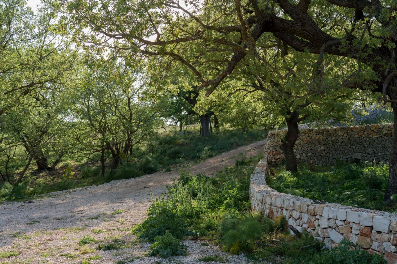 Vila Donnapaola Modern Farm Altamura Exteriér fotografie
